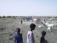 Campamento n�mada de tuaregs