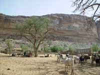 Un pueblo dogon y al fondo un pueblo pigmeo